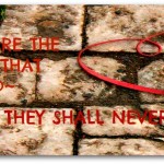 Facebook Friday~ Free Timeline Cover 