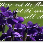 Facebook Friday~ Free Timeline Cover {God’s Word Stands Forever}